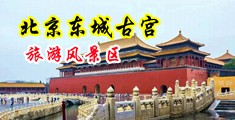 舔舔骚妇骚逼高潮视频中国北京-东城古宫旅游风景区